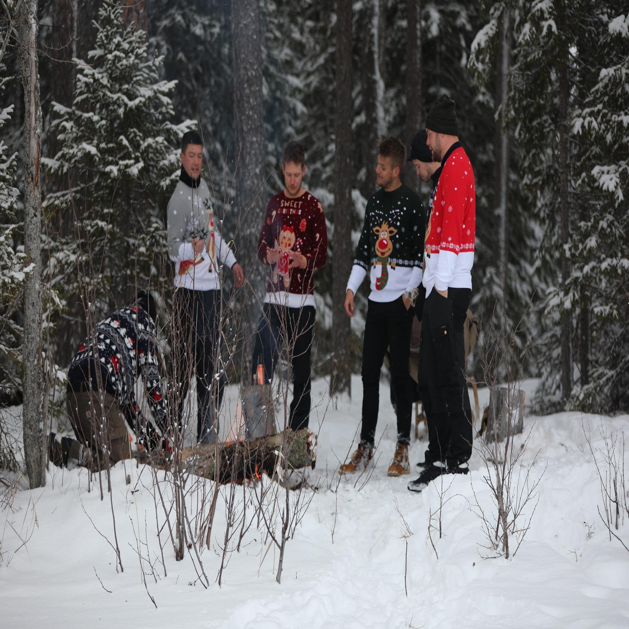 recettes traditionnelles de noël - Illustration